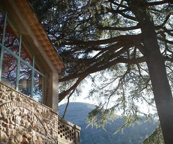 Bed & Breakfast Fraissinet Saint-Jean-de-Valériscle